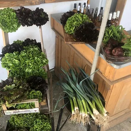 La Ferme De Rotani Kamp alanı